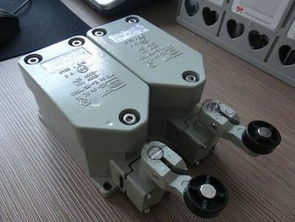 BZX51 D滾輪單搖臂式防爆限位開(kāi)關(guān) 工業(yè)安全的關(guān)鍵傳感器