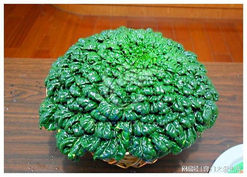 秋日陽(yáng)臺(tái)新寵 種盆烏塌菜，賞葉、易養(yǎng)、美味三豐收